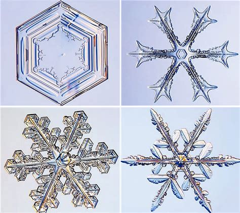 繼續深造 雪花的結晶體是屬於哪一種美的形式原理原則？